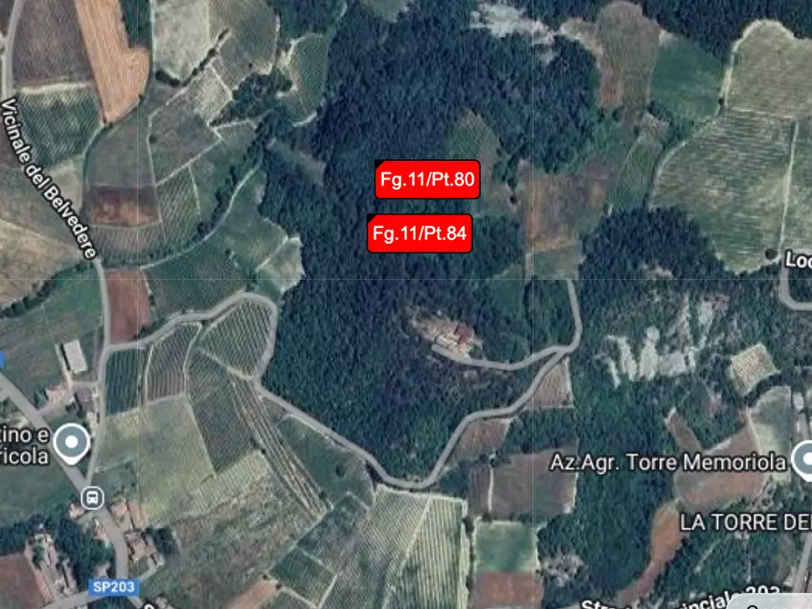 terreno agricolo in vendita a Borgoratto Mormorolo in zona Cà Bernocchi
