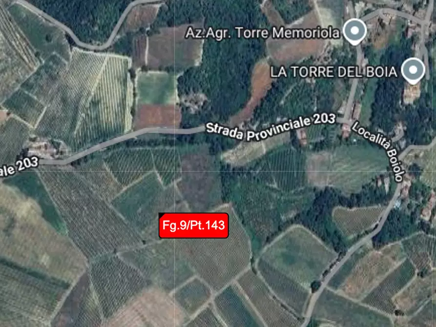terreno agricolo in vendita a Borgoratto Mormorolo