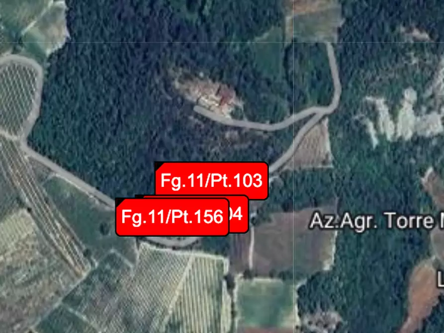 terreno agricolo in vendita a Borgoratto Mormorolo in zona Cà Bernocchi