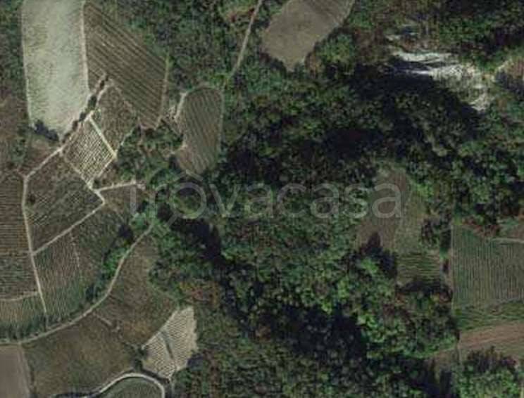 terreno agricolo in vendita a Borgoratto Mormorolo
