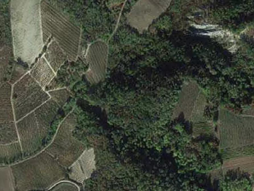 terreno agricolo in vendita a Borgoratto Mormorolo