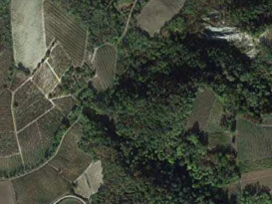 terreno agricolo in vendita a Borgoratto Mormorolo