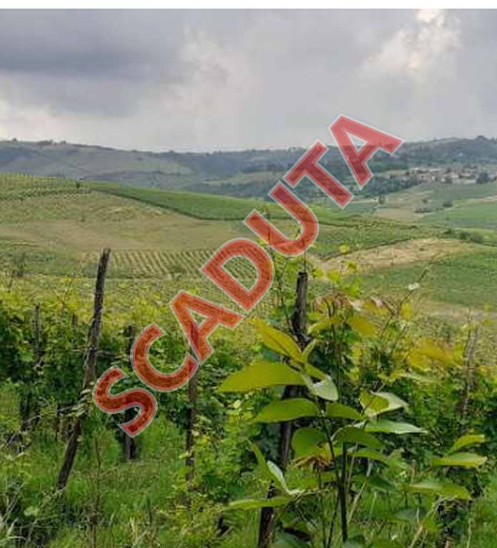 terreno edificabile in vendita a Borgoratto Mormorolo in zona Gabbione