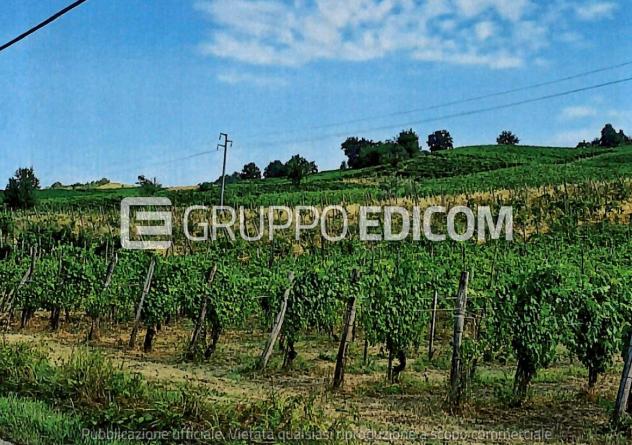 terreno agricolo in vendita a Borgoratto Mormorolo