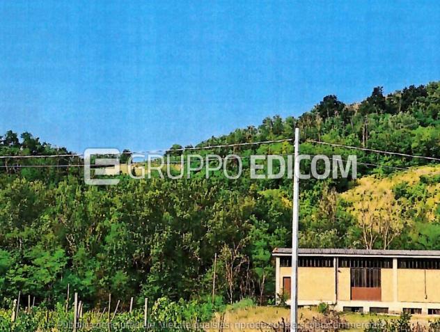 terreno agricolo in vendita a Borgoratto Mormorolo