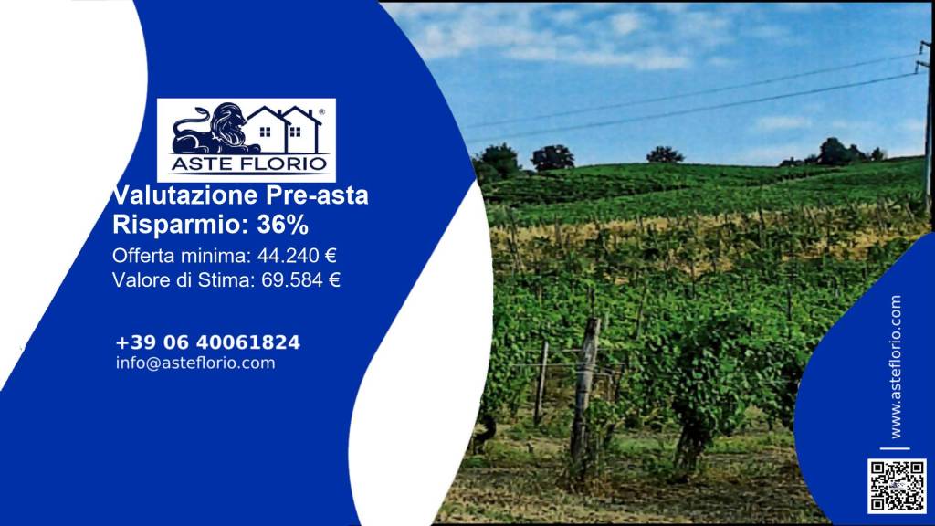 terreno agricolo in vendita a Borgoratto Mormorolo