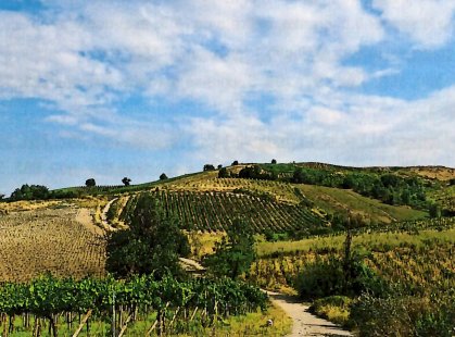 terreno agricolo in vendita a Borgoratto Mormorolo
