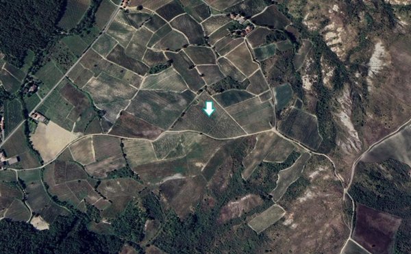 terreno agricolo in vendita a Borgoratto Mormorolo