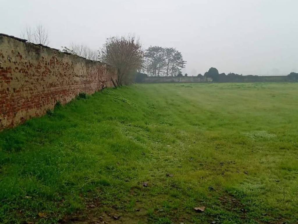 terreno edificabile in vendita a Borgo San Siro in zona Torrazza