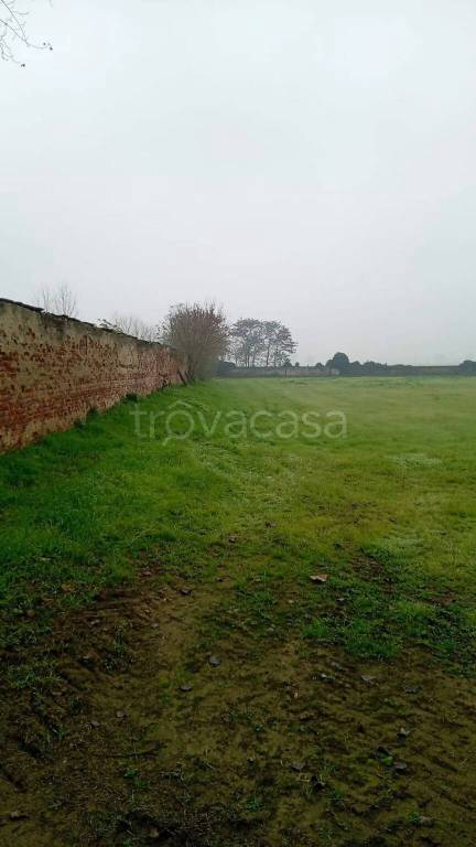 terreno edificabile in vendita a Borgo San Siro in zona Torrazza