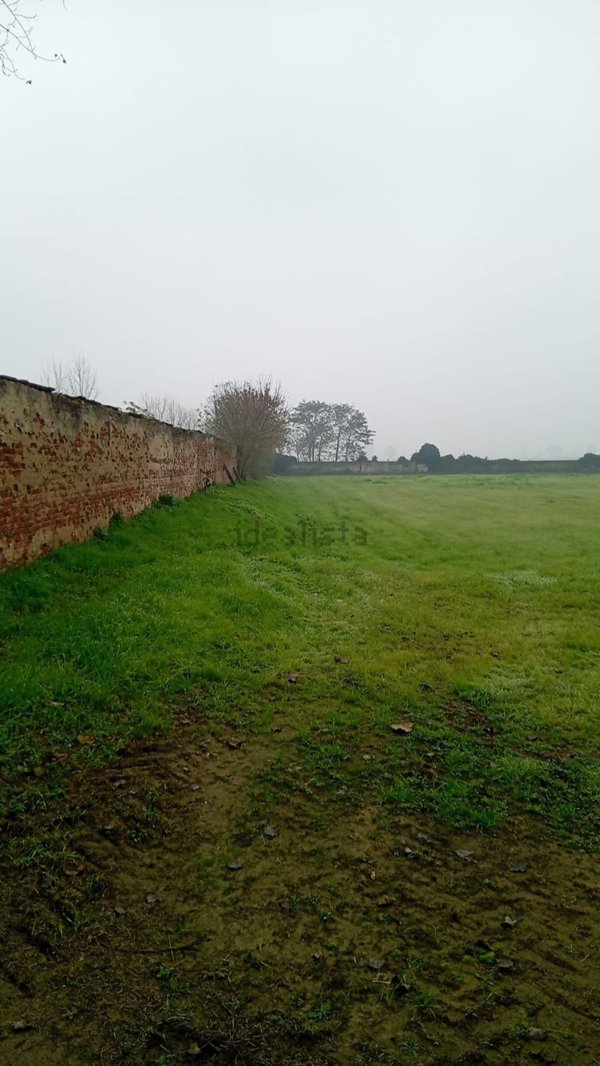 terreno edificabile in vendita a Borgo San Siro in zona Torrazza