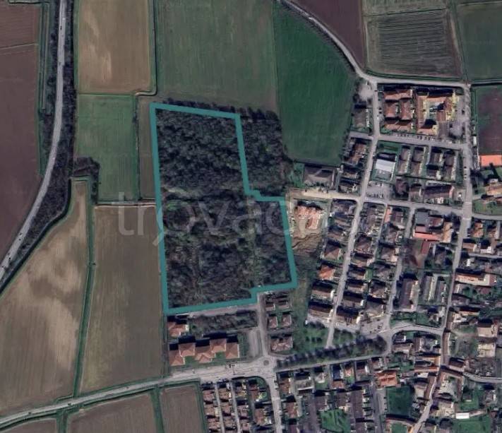 terreno agricolo in vendita a Bornasco