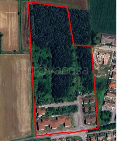 negozio in vendita a Bornasco