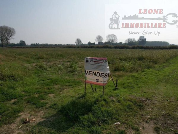 terreno edificabile in vendita a Bornasco