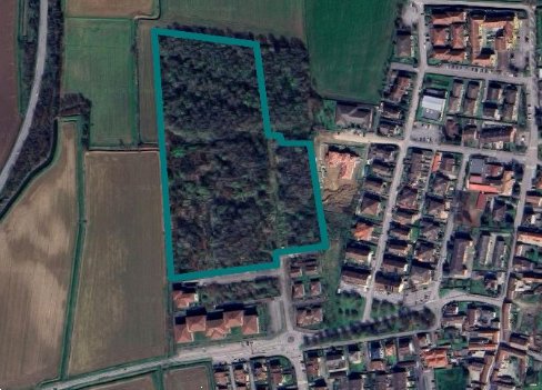 casa indipendente in vendita a Bornasco