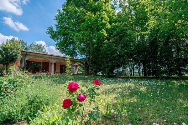 casa indipendente in vendita a Bressana Bottarone