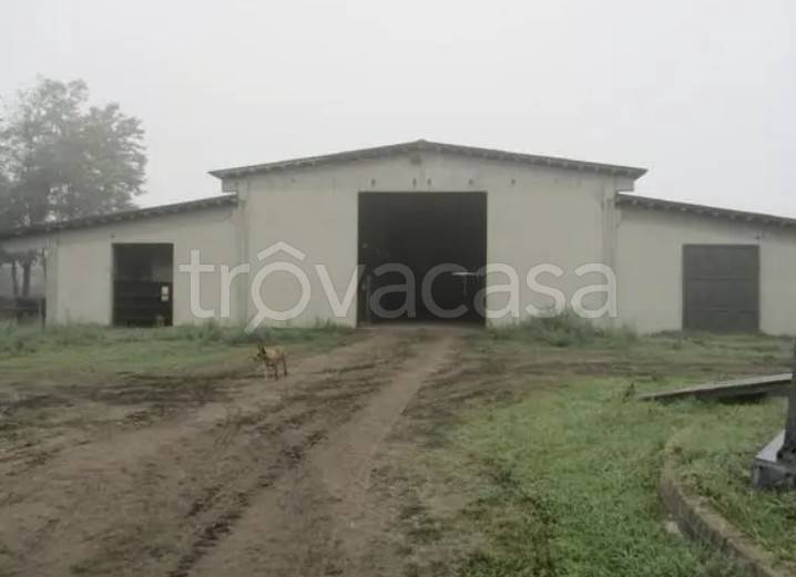 ufficio in vendita a Bressana Bottarone