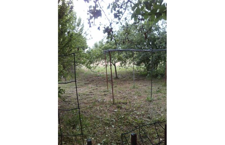 casa indipendente in vendita a Bressana Bottarone