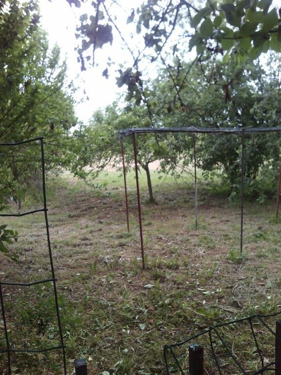 casa indipendente in vendita a Bressana Bottarone