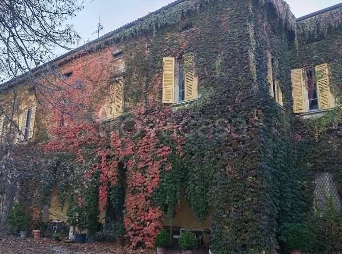 appartamento in vendita a Bressana Bottarone in zona Argine
