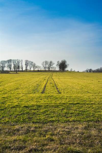 azienda agricola in vendita a Broni