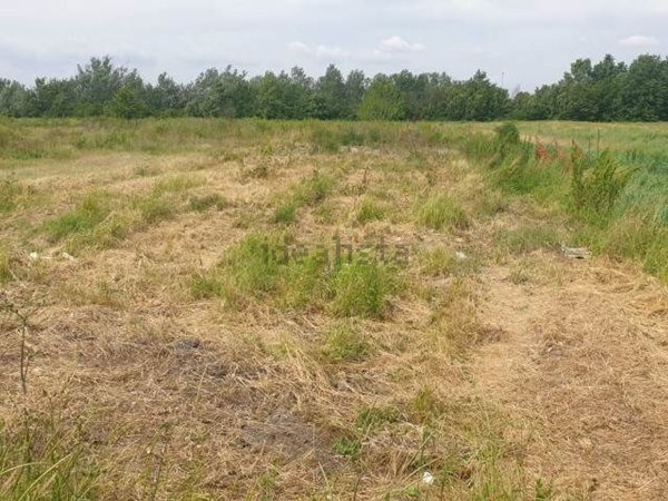 casa indipendente in vendita a Broni