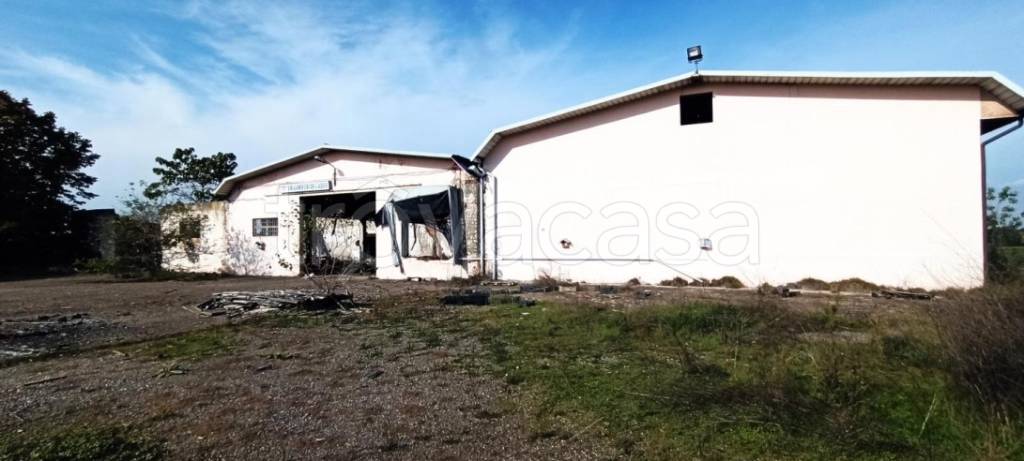 locale commerciale in vendita a Campospinoso Albaredo