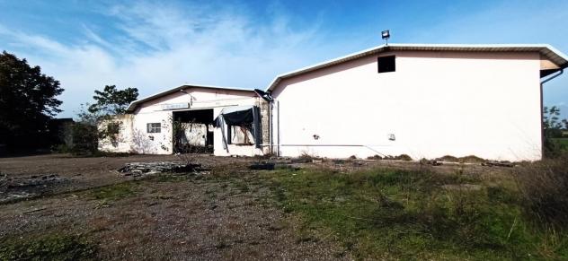 locale commerciale in vendita a Campospinoso Albaredo