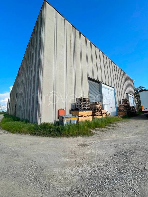 locale commerciale in vendita a Campospinoso Albaredo in zona Albaredo Arnaboldi