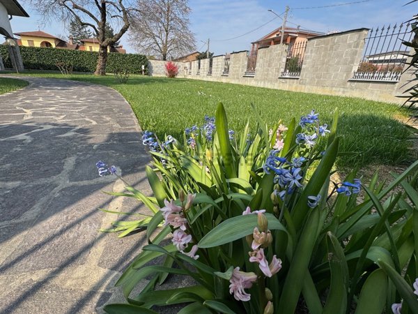 casa indipendente in vendita a Campospinoso Albaredo