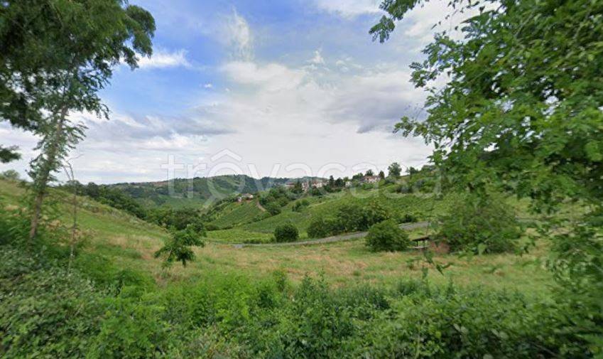 terreno agricolo in vendita a Canneto Pavese in zona Caccialupo