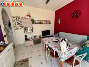 appartamento in vendita a La Loggia