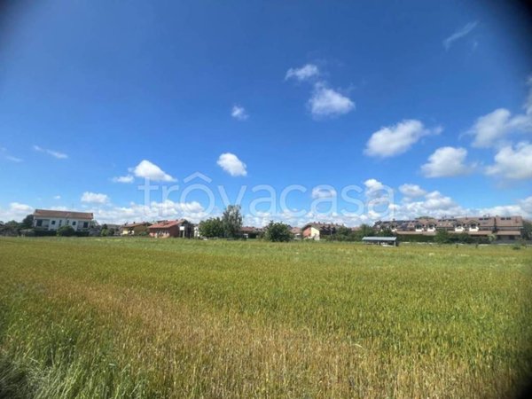 terreno agricolo in vendita a La Loggia