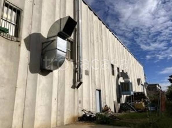 appartamento in vendita a La Loggia