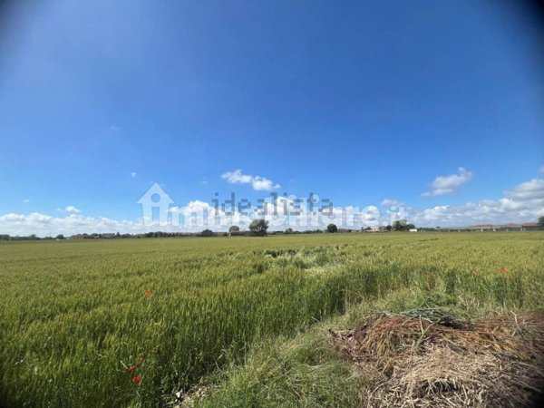 terreno edificabile in vendita a La Loggia