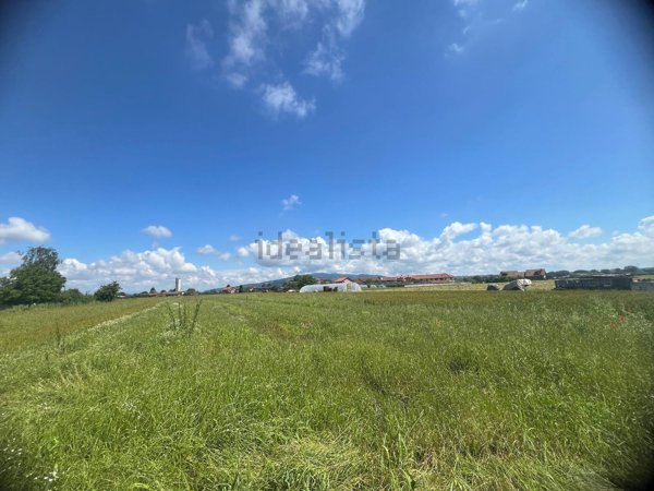 terreno edificabile in vendita a La Loggia