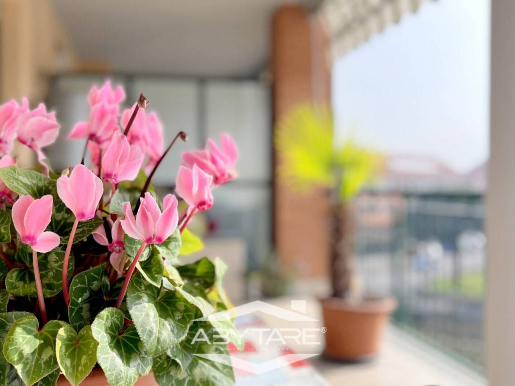 appartamento in vendita a La Loggia