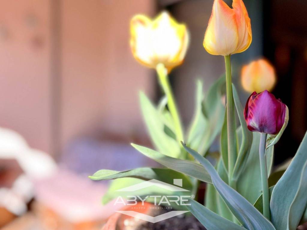 appartamento in vendita a La Loggia