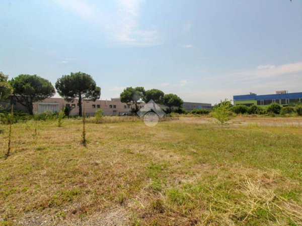 terreno agricolo in vendita a Casatisma