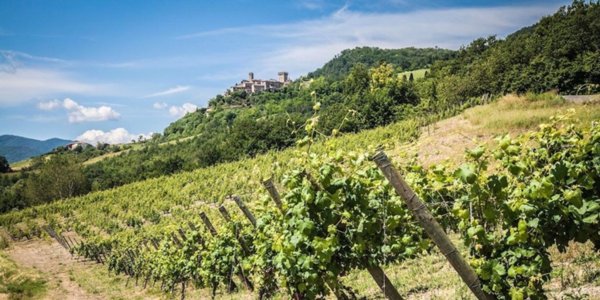 casa indipendente in vendita a Casei Gerola