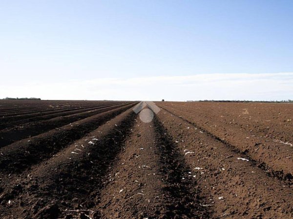terreno agricolo in vendita a Casei Gerola