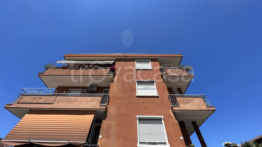 immagine annuncio 0 di 15