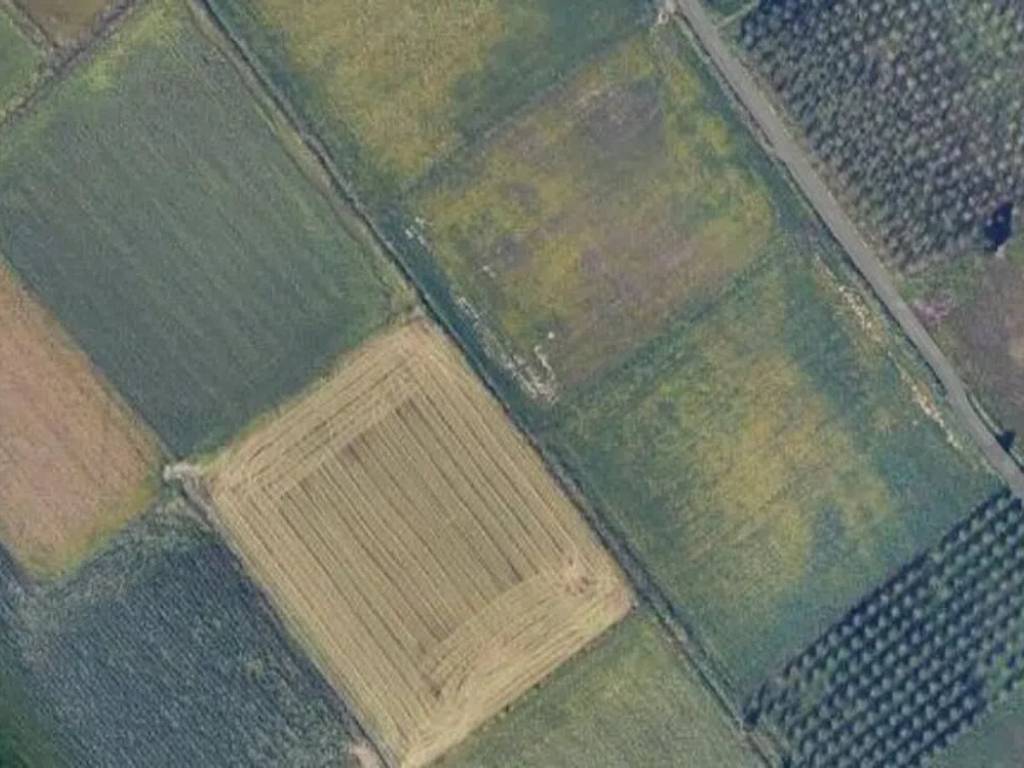 terreno agricolo in vendita a Casorate Primo