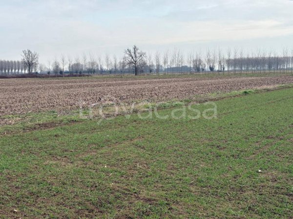 terreno agricolo in vendita a Casorate Primo
