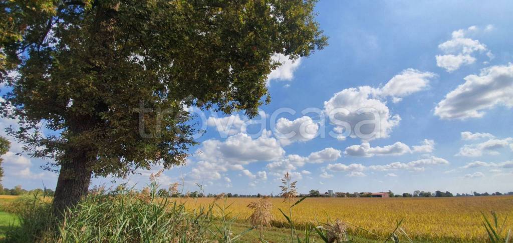 terreno agricolo in vendita a Casorate Primo