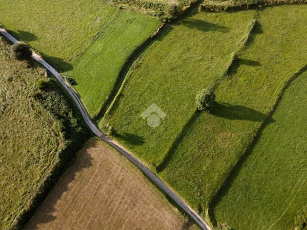 terreno agricolo in vendita a Casorate Primo