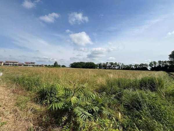 terreno agricolo in vendita a Cassolnovo in zona Molino Del Conte