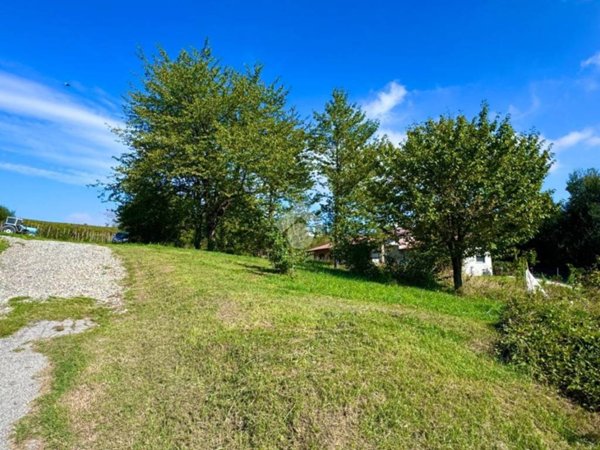 terreno agricolo in vendita a Castana