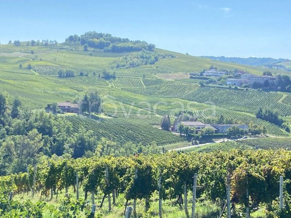 terreno agricolo in vendita a Castana