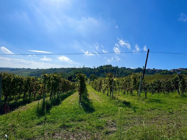 terreno edificabile in vendita a Castana